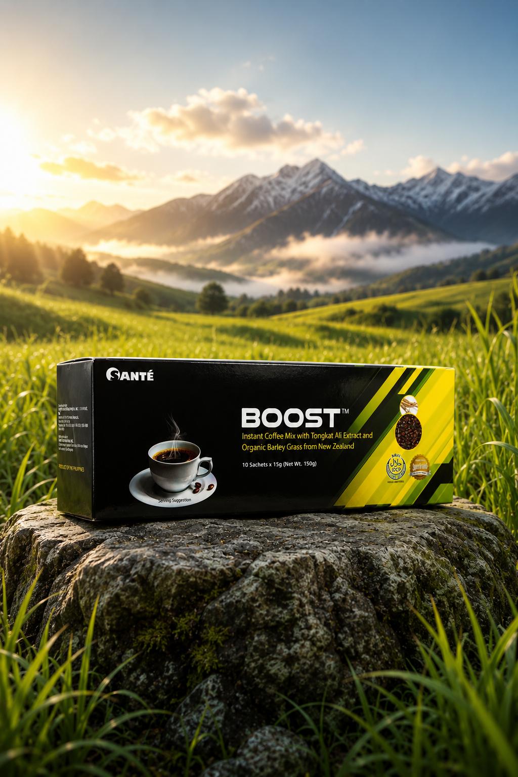Boost Coffee (15gms x 10 sachets)